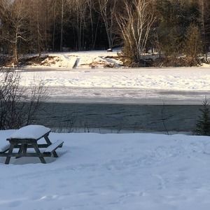 Meet your Posher, Carole